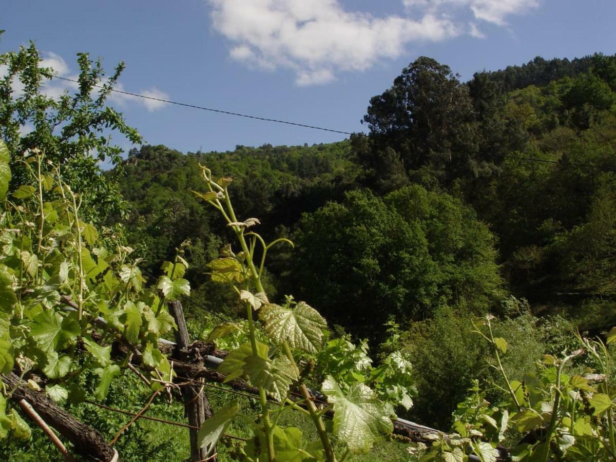 Casa En Vinoas Villa Eksteriør billede